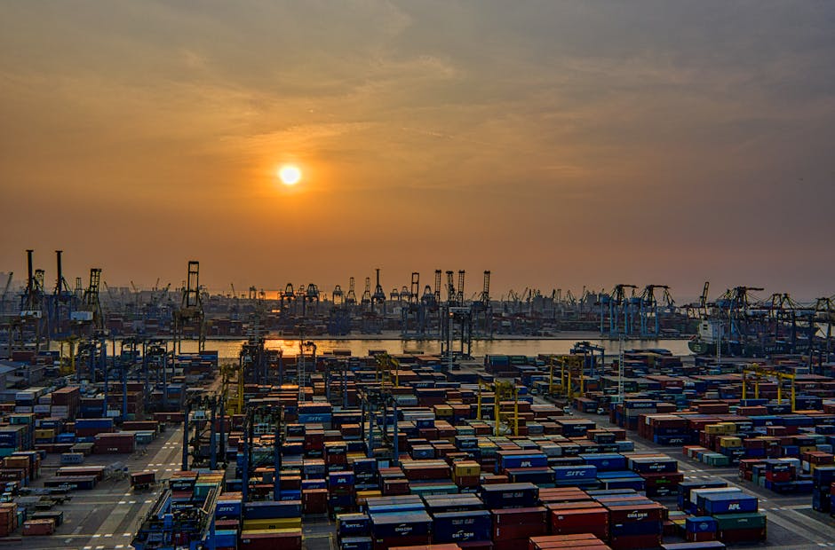 Understanding International Shipping Costs Explained